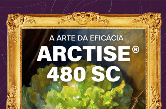 destaque-site-arctse