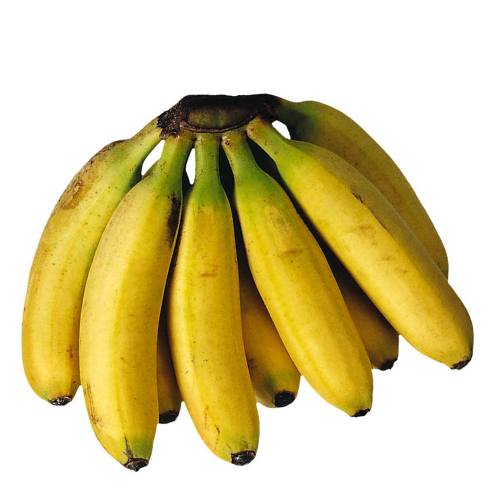 Bananeira