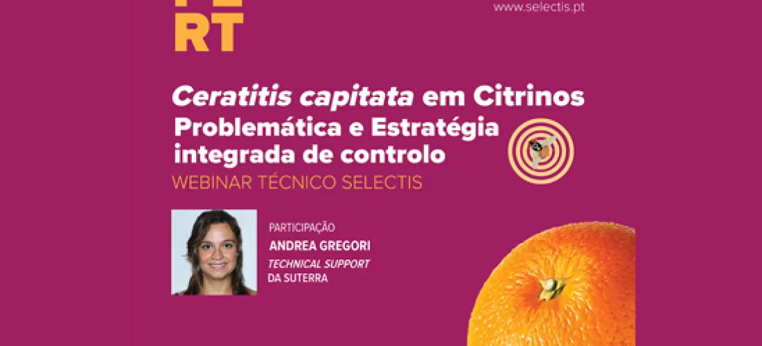 selectis-flyer-citrinosaf-1