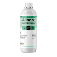 aliado mockup